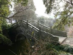 -水绘园