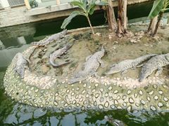 -石家庄市动物园