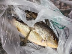 -梅姐海鲜餐厅(水头海鲜街店)