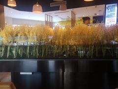 -老宋家鱼馆(北滨路店)