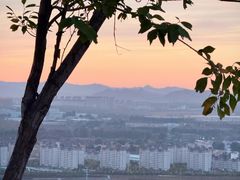 -红山国家森林公园