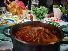 -番食园鲜食火锅(高新店)