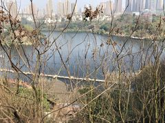-重庆彩云湖湿地公园