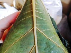 -叶婆婆豆浆馍馍
