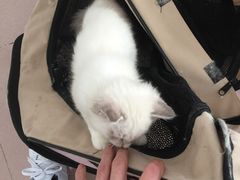 -西安老王家(振兴西路店)