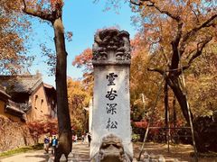 -灵谷景区
