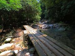 -广州市流溪河国家森林公园