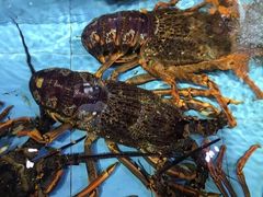 -渔民新村(番禺总店)