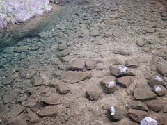 -大奇山国家森林公园