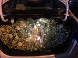 -告白气球派对策划·求婚·订婚宴·宝宝宴·生日派对