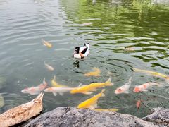 -扬州瘦西湖温泉