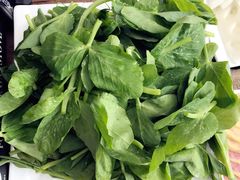 -马帮菜馆·美味野生菌