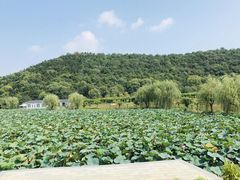 -龙寺生态园