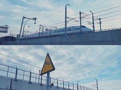 -海堤纪念公园