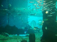 -北戴河圣蓝海洋公园