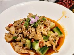 -老平安农家菜(平安店)