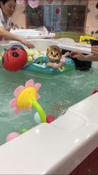 -爱玩爱游亲子母婴(旭辉广场店)