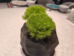 -南堂馆·新川菜(春熙路店)