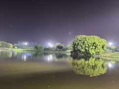 -银涛高尔夫练习场(徐泾店)