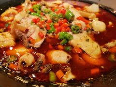 -成都娃娃花园餐厅 (南艺旗舰店)