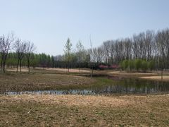 -东郊湿地公园