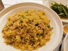 -锦粤宫·精致粤菜(深圳北站店)