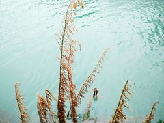 -石燕湖生态旅游景区