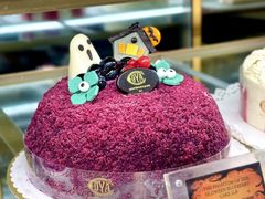 -COVA(新天地Xintiandi店)