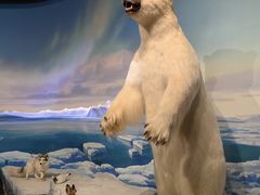 -陕西自然博物馆