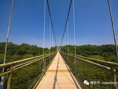 -东部华侨城
