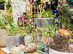 -谷咖啡·鲜花绿植花园餐厅