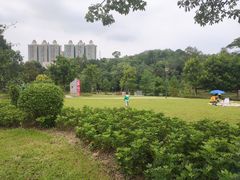-中山市树木园