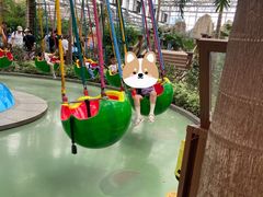 -南宫五洲植物乐园