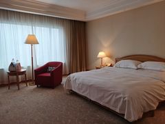 -南京维景国际大酒店(南京博物院店)