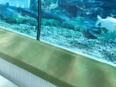 -福州罗源湾海洋世界旅游区