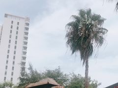 -北海金海湾红树林生态旅游区