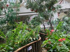 -正佳雨林生态植物园