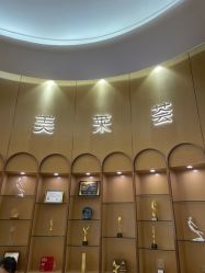 -深圳美莱医疗美容医院