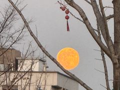 -九华山公园