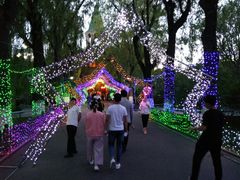 -哈尔滨文化公园