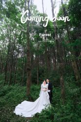 -芭莎视觉婚纱摄影(花溪店)