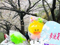 -堤角公园