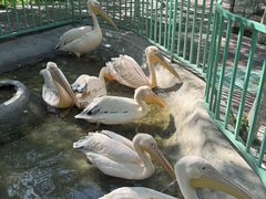 -水上乐园·欢乐世界