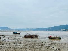 -北岐滩涂