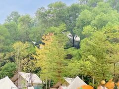 -云栖山谷野奢营地