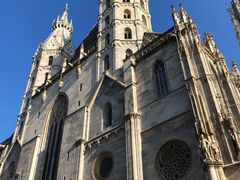 -斯蒂芬主教座堂(Stephansdom)