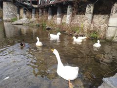 -北京水岸山吧度假村(雁栖镇店)