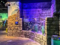 -沈阳海洋探索中心