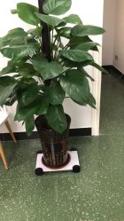 -苗方清颜祛痘·皮肤管理