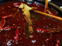 -一斗火锅·招财羊毛肚(北温泉九号店)